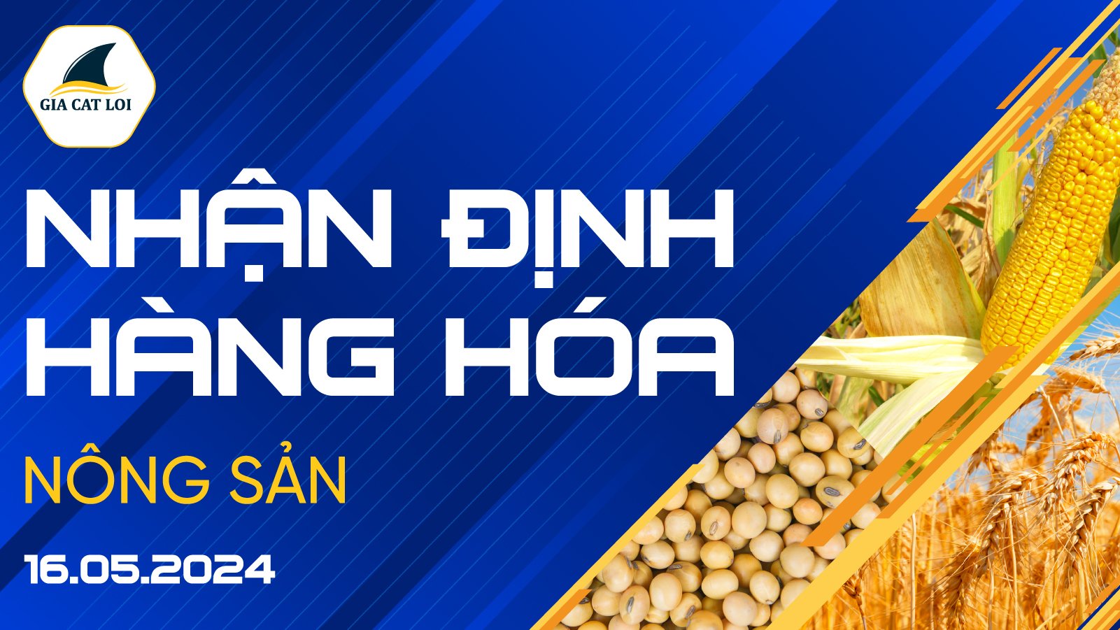 Nhận Định Thị Trường Nông Sản Ngày 16/05/2024