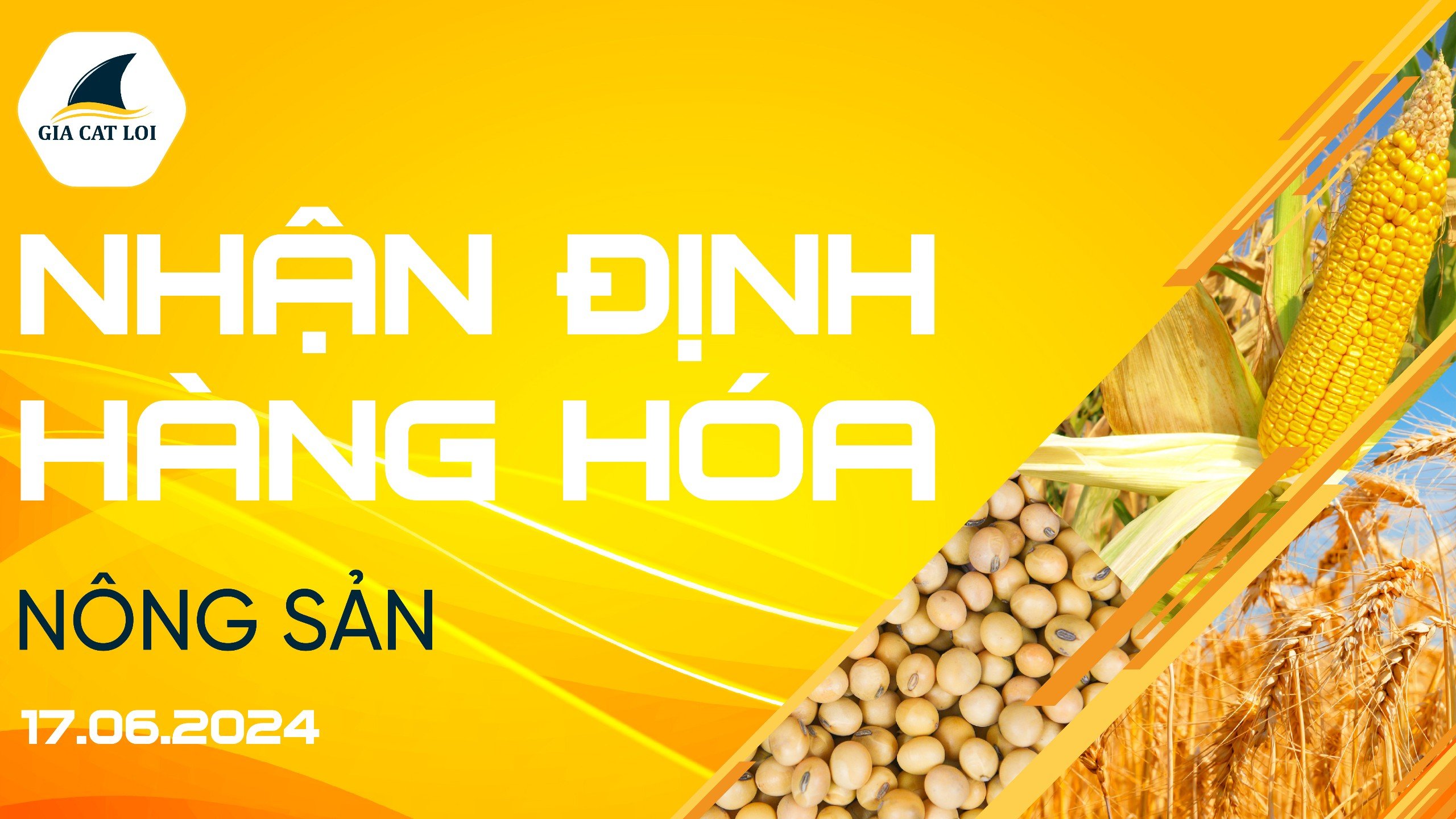 Nhận Định Thị Trường Nông Sản Ngày 17/06/2024