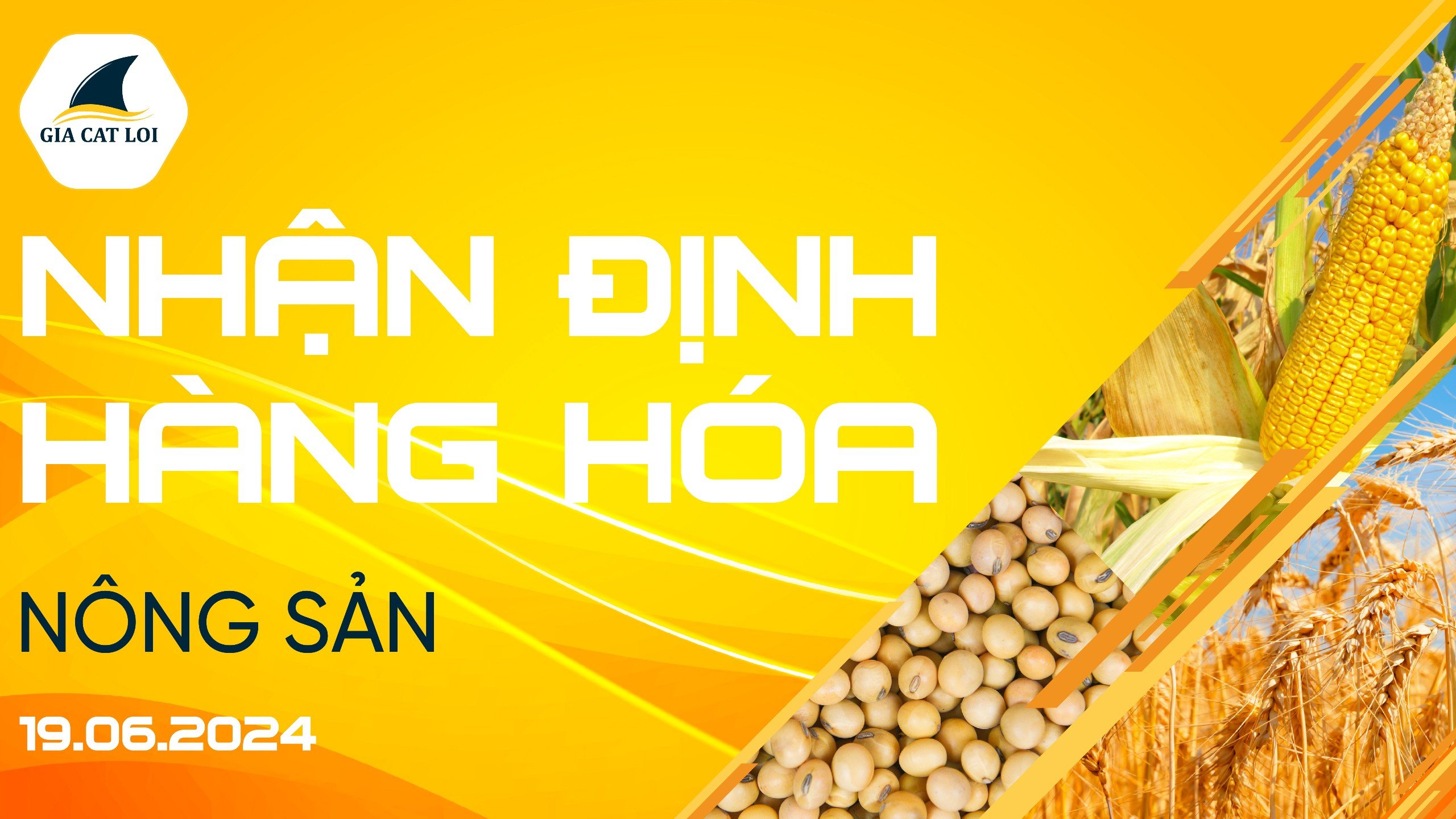Nhận Định Thị Trường Nông Sản Ngày 19/06/2024