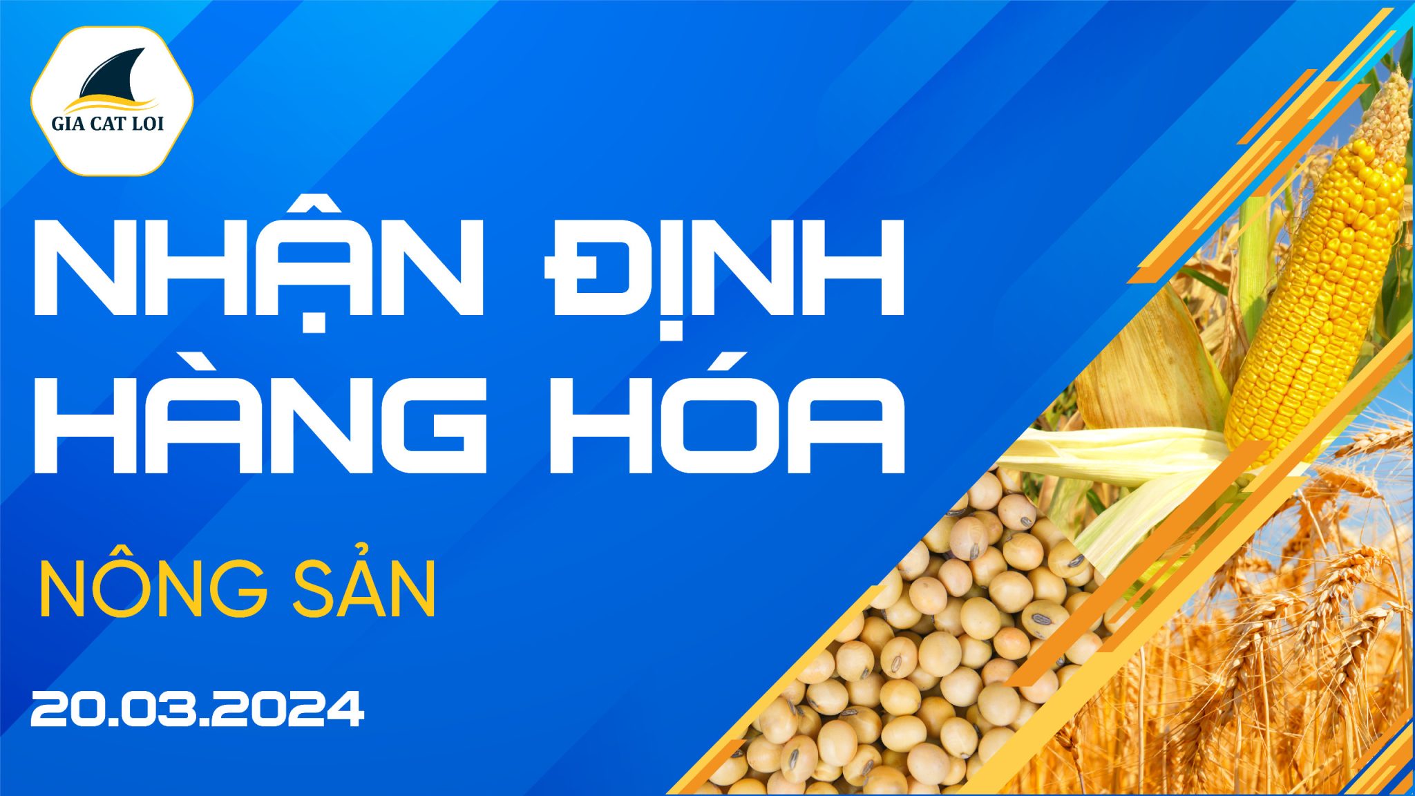 Nhận Định Thị Trường Nông Sản Ngày 20/03/2024