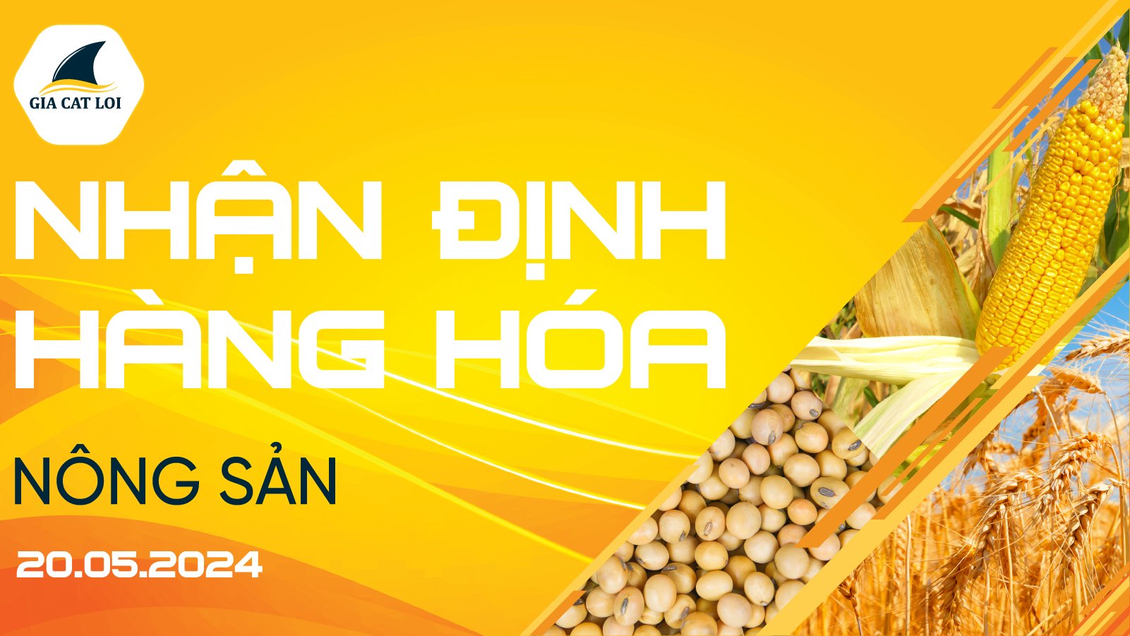 Nhận Định Thị Trường Nông Sản Ngày 20/05/2024