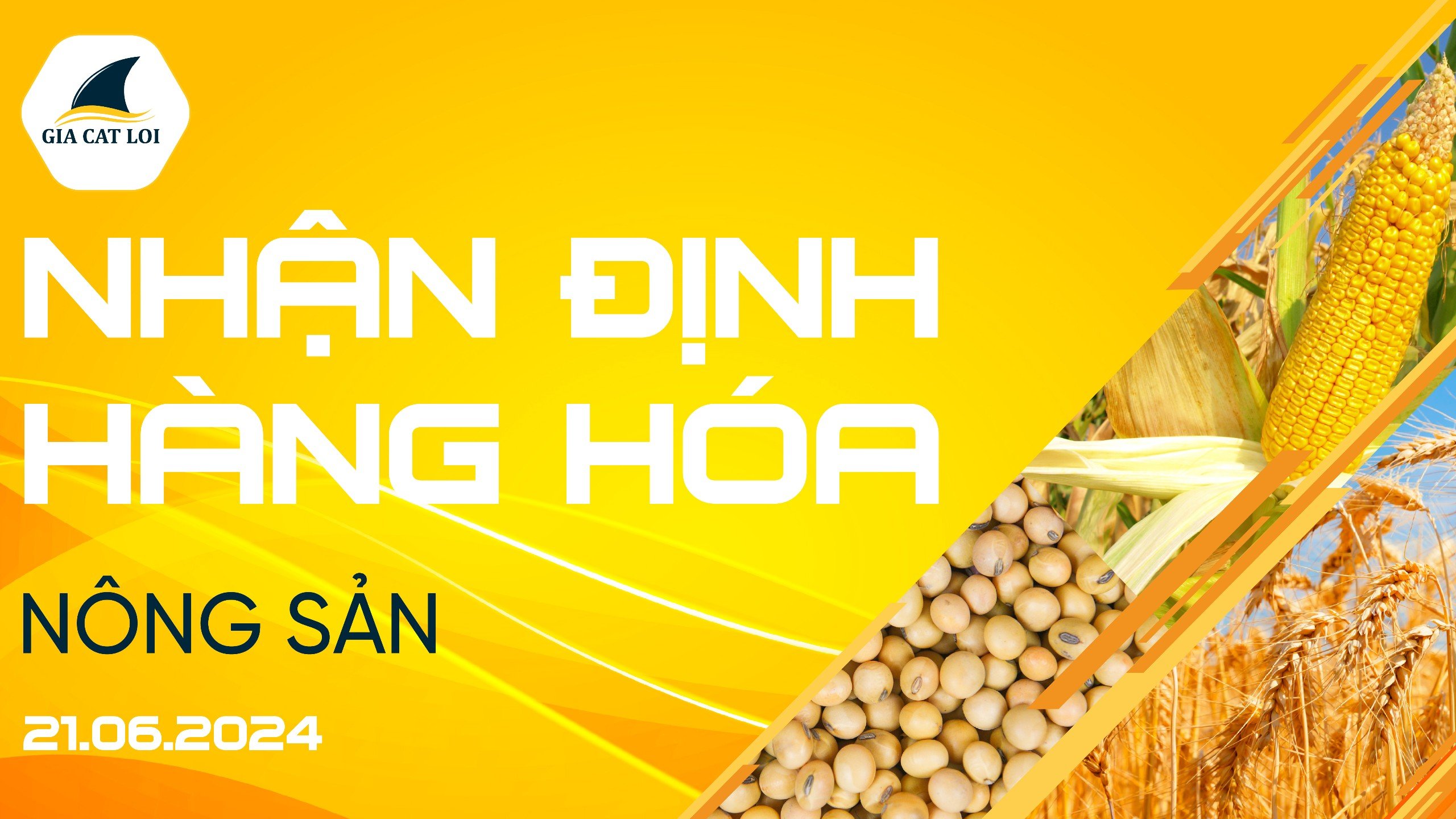 Nhận Định Thị Trường Nông Sản Ngày 21/06/2024
