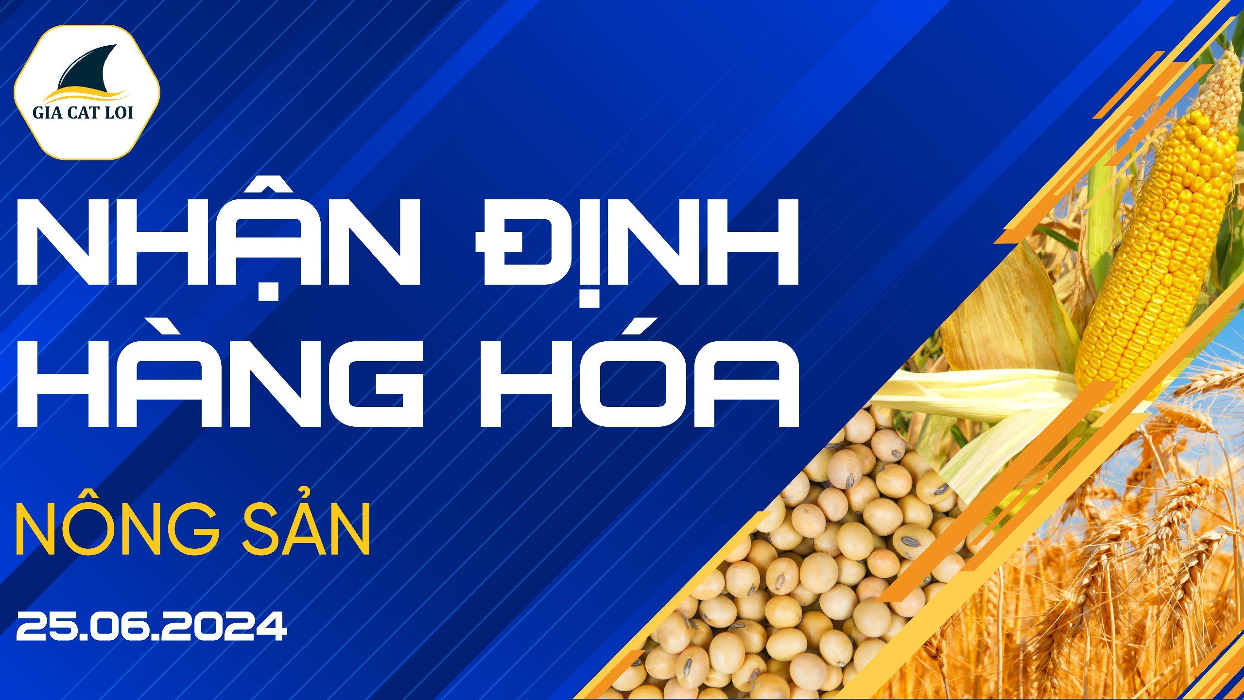 Nhận Định Thị Trường Nông Sản Ngày 25/06/2024