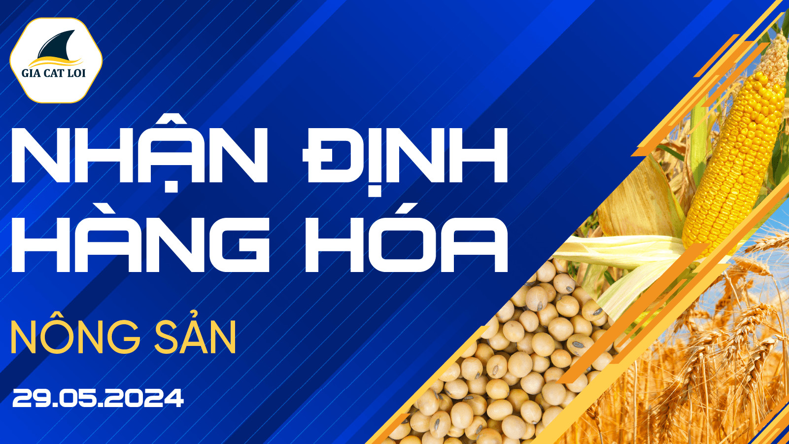 Nhận Định Thị Trường Nông Sản Ngày 29/05/2024