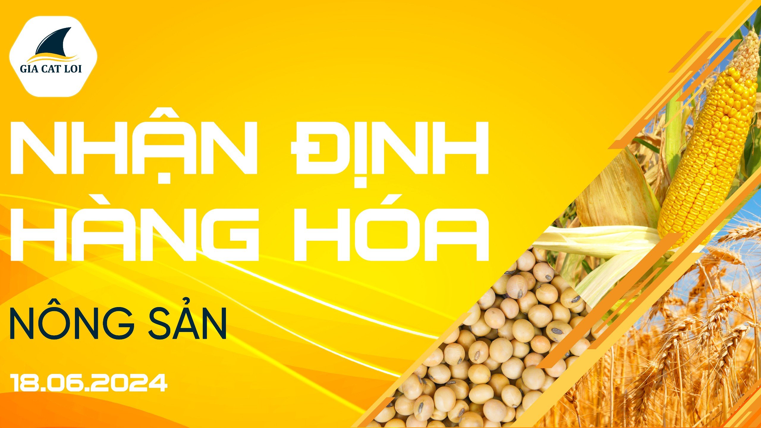 Nhận Định Thị Trường Nông Sản Ngày 18/06/2024