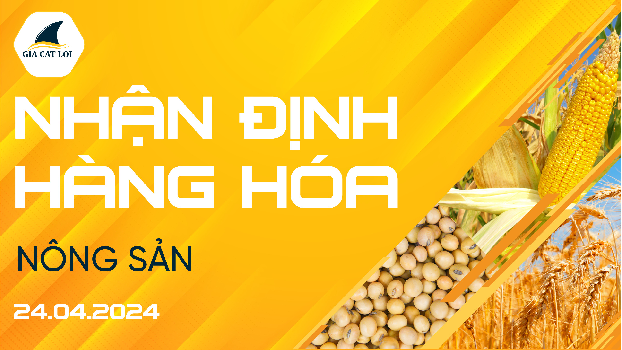 Nhận Định Thị Trường Nông Sản Ngày 24/04/2024