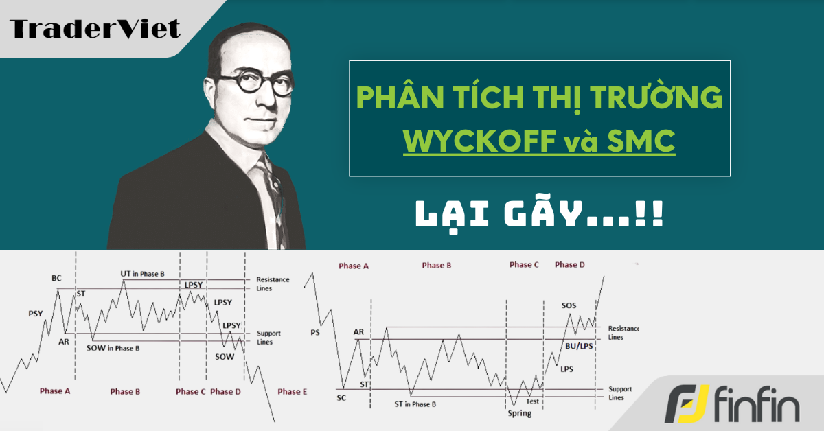 Nhận định thị trường dưới góc nhìn của Phương pháp Wyckoff - 28/01/2025: Lại gãy...!!