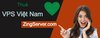 thuê VPS Việt Nam.jpg