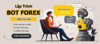 BanerBOTFOREX.png