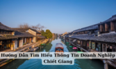 Hướng Dẫn Tìm Hiểu Thông Tin Doanh Nghiệp Chiết Giang.png