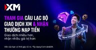 xm-nhung-cau-hoi-trader-thuong-gap-14082026-1.jpg