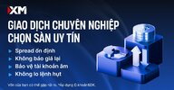 xm-phi-giao-dich-forex-tai-viet-nam-26092026-4.jpg