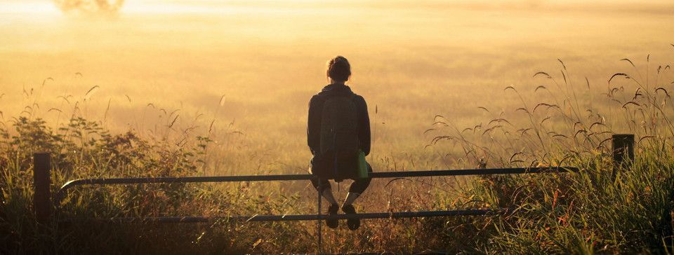 Vài giả thuyết về bài báo gia đình ở Sài Gòn tự tử vì sập sàn Bitcoin và những điều có thể xảy ra