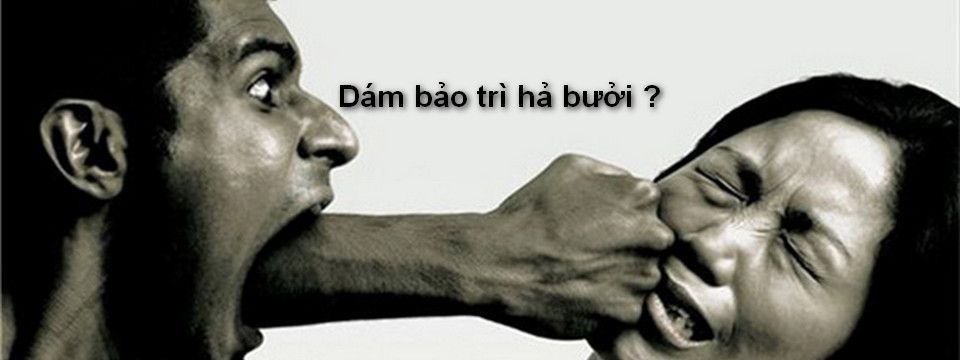 Thảo luận về uy tín của hai sàn Vicuta và Chimcugay