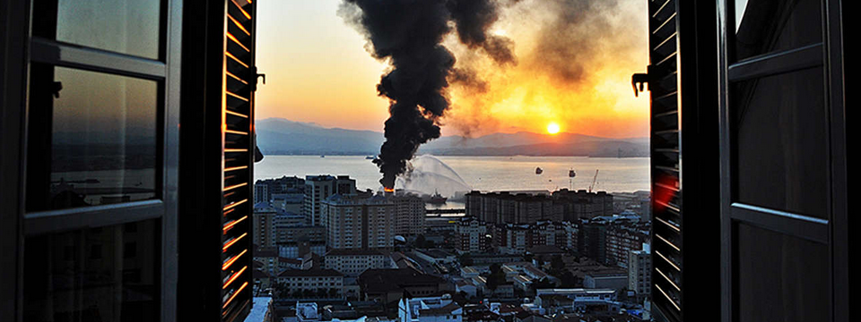 Hãy sẵn sàng cho lần thiên nga đen tiếp theo của thị trường, bài viết này sẽ giúp bạn