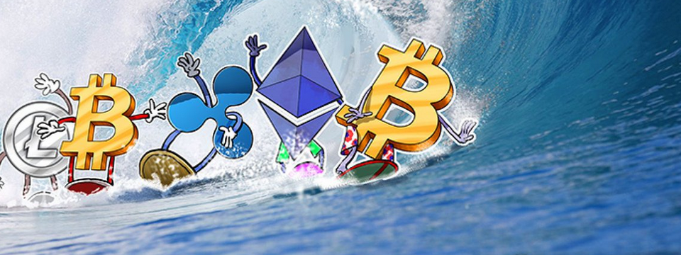 Tương lai của thị trường sẽ đi vào ổn định và Holder không còn đất sống?