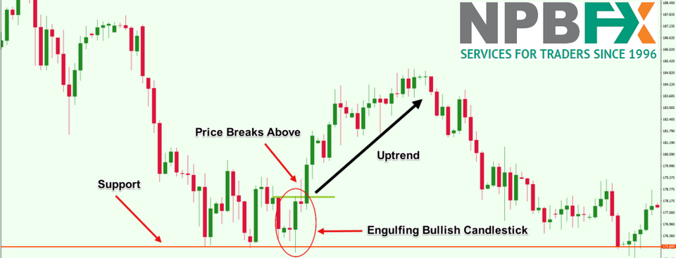 Mời tham gia buổi chia sẻ online về kỹ thuật giao dịch với NPBFX Trading Club