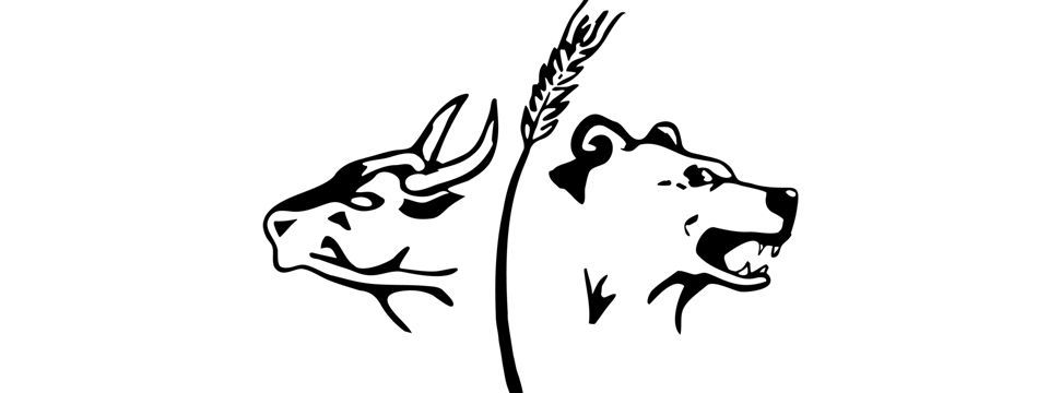 Giả thuyết Thị trường hiệu quả