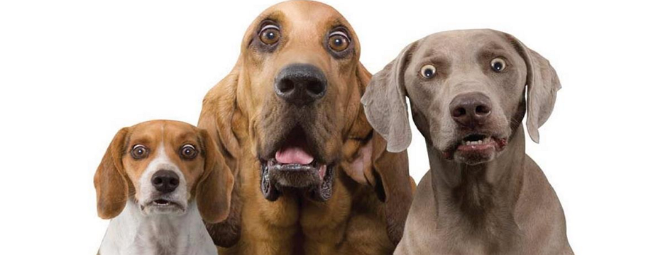 Các dạng đảo chiều trong xu hướng – Đảo chiều đột ngột - đảo chiều sâu