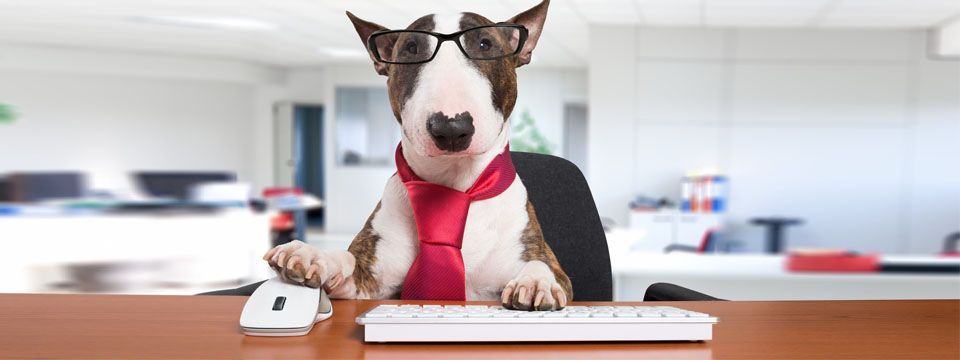 Bắt đầu forex với 12 bước cơ bản (phần 1)