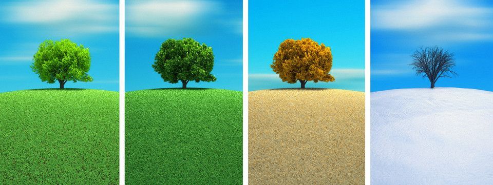 Chu kỳ USD theo mùa gợi khả năng gì cho USD trong tháng này?