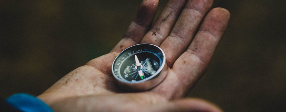 Trader cần làm gì sau những cú thua sấp mặt!?