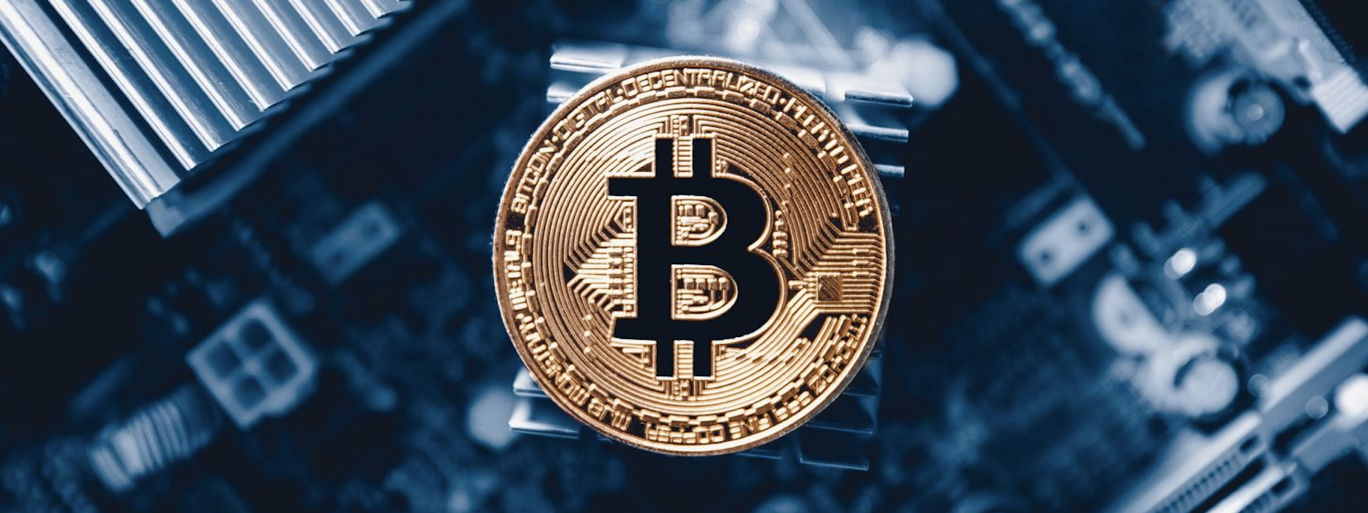 Tin mình đi, Bitcoin sẽ không chết đâu!