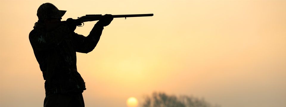 Giao dịch forex giống như làm thợ săn