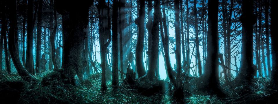 4 sự thật về thị trường Crypto mà anh em có thể chưa biết