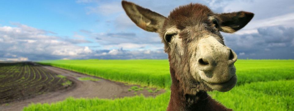 Tiền ảo, vì sao dễ lừa?