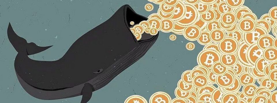 Nhờ xu hướng giảm trong quý 1/2018, cá voi Crypto Trung Quốc đã gom được số Bitcoin khổng lồ