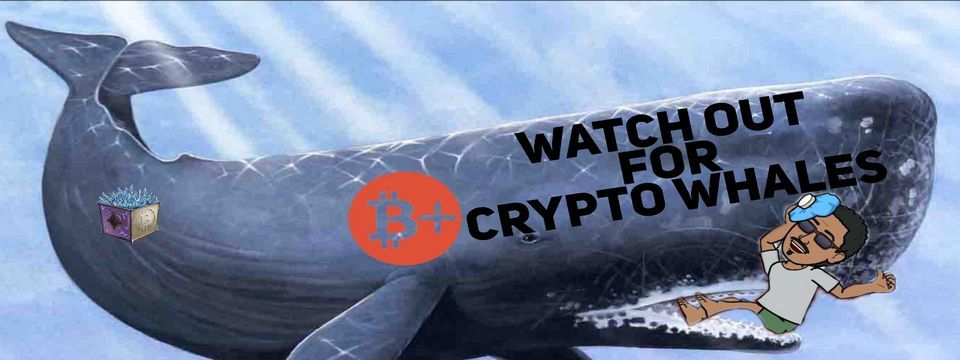 Cách phát hiện cá voi trong thị trường Crypto