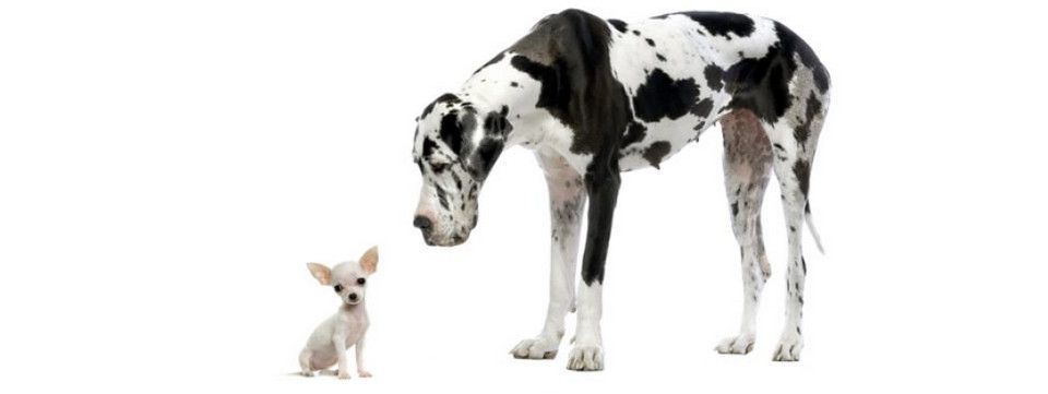 Trade thật chậm để chiến thắng - Bí quyết giúp Trader cá nhân đối đầu các quỹ lớn