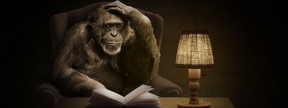 Phân tích Usd Index ngày 31/05 - Cú phá đáy tai họa