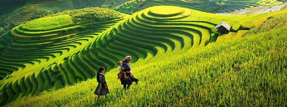 Nông dân lâm nợ vì chơi tiền ảo