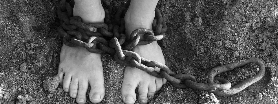 Crypto phiên tối 29/06 - Cẩn thận kẻo dính bẫy