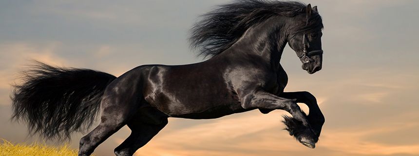 Chuỗi hình ảnh nền "ngầu lòi" khiến anh em mở máy là có tâm trạng làm việc