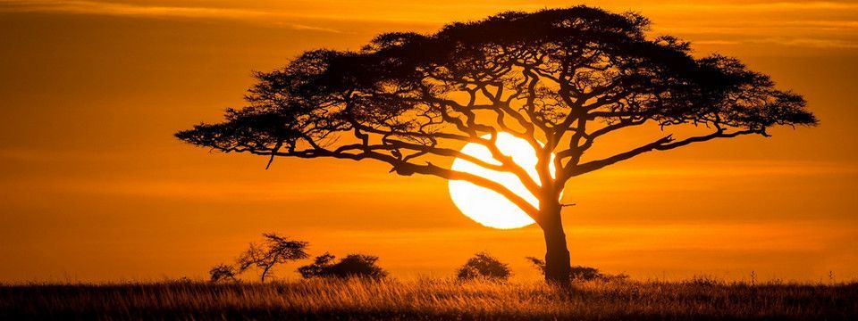 Usd Index - Đi đường nào khi hoàng hôn buông xuống sau 1 cái bẫy?