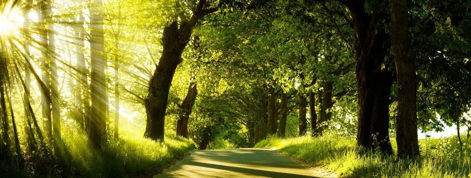 Phân tích Bitcoin và Ethereum - Con đường màu xanh có được duy trì?