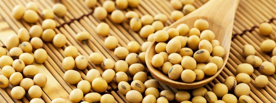 Chiến tranh thương mại, trader đi buôn hạt đậu nành