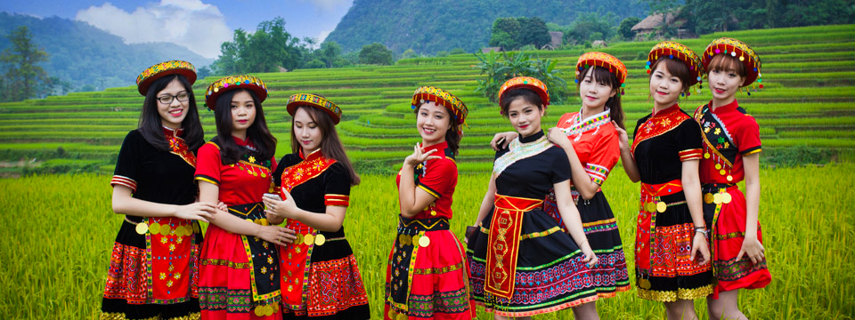 Không có Hà Giang nào cho Trader