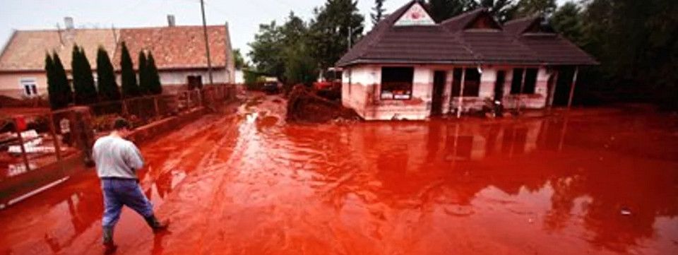 Phân tích Crypto chiều 01/08 - Cơn lũ đỏ cuốn crypto trader về đâu?