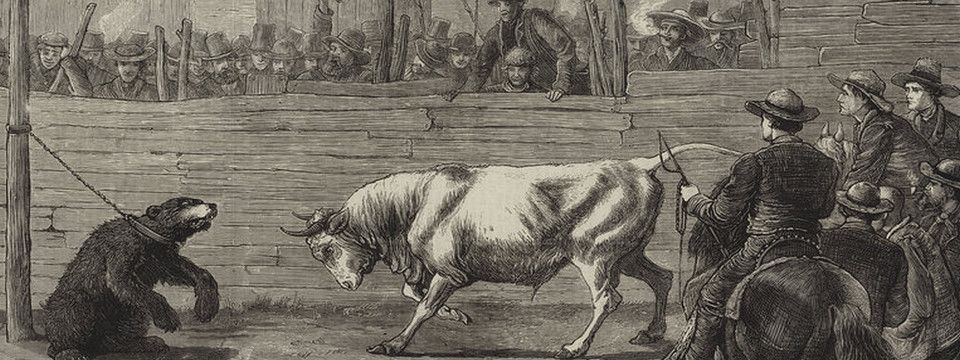 Phân tích Crypto đầu ngày 02/08 - Bẫy Gấu 2 lần, Bò vùng lên?