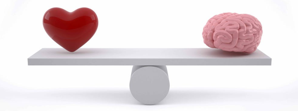 Vai trò của lý trí và cảm xúc đối với trader