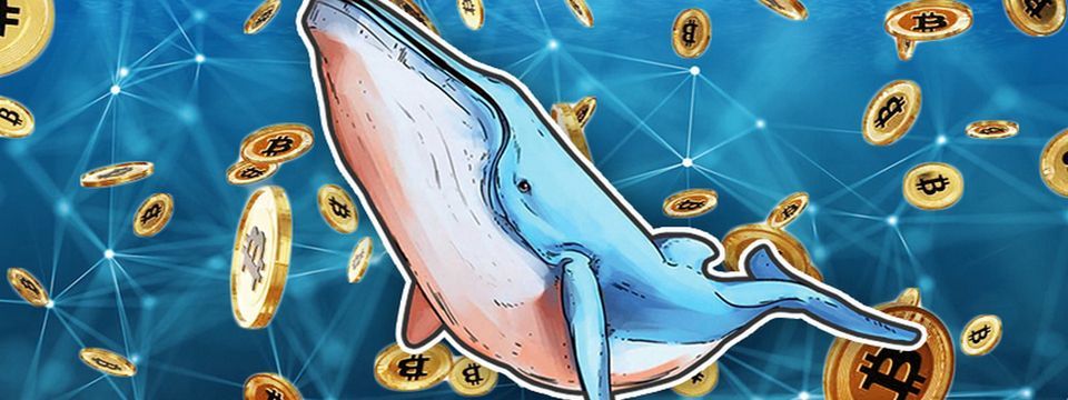 1 tỷ $ Bitcoin đang được di chuyển : 100 triệu chuyển lên Bitfinex và Binance