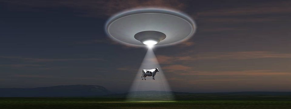 Những chuyện HOANG ĐƯỜNG về trading cần loại bỏ ngay trong suy nghĩ