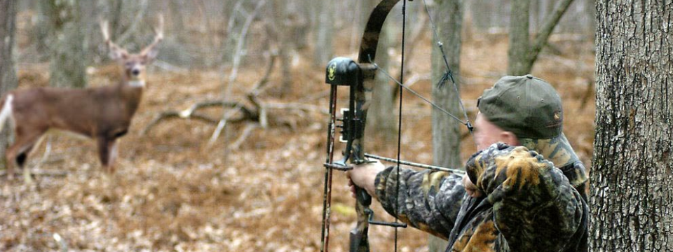 Trend Bands - Một chỉ báo tuyệt vời để bắt trend