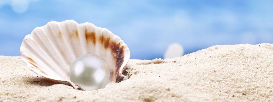 Chân dung mô hình giá ít ai khám phá nhưng lại rất hiệu quả