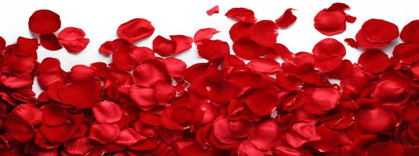 Những điều quan trọng trong cuộc sống