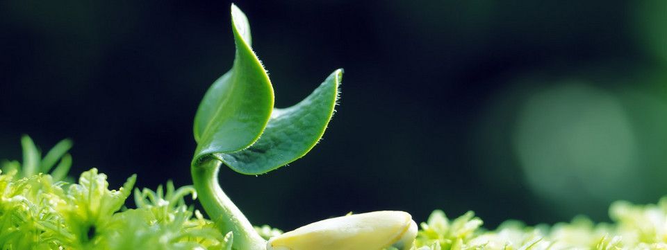 Theo đuổi sự giàu có